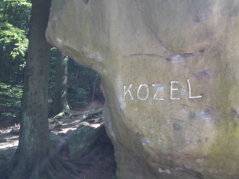 kozel-25.jpg