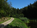 Lesní cesta kolem horního rybníka vede na Útěchov.