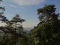 Výhled mezi borovicemi na oblast severně od města Kuřim.