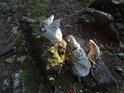Skupina sádrových strašidýlek u rozcestí Babí lom.
