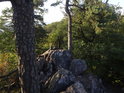 Nízký skalní vrcholek mezi dvěma nízkými borovicemi.