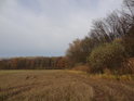 Do podzimních barev zahalený jižní okraj chráněného území.
