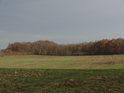 Západní okraj chráněného území pohledem od obce Uhersko.
