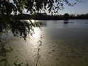 Klesající Slunce nad rybníkem Bažantula.