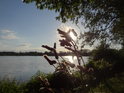 Romantické klesající Slunce nad Velkým Bědným rybníkem.