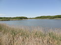 Severozápadní zátoka Bohdanečského rybníka pohledem z malé rozhledny na Polákově poloostrově.