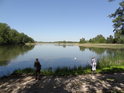 Krmení labutí na břehu západního ramene Bohdanečského rybníka, v místě, kde se o výlovech schází hojné obecenstvo.