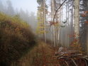 Málo projetá cesta podzimním horským lesem.