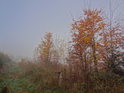 Slunce už už proráží mlhu v podzimním lese.