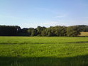 Pohled od obce Semechnice na východní cíp lužního lesa, v pozadí napravo pak traktor sváží zrno pšenice.