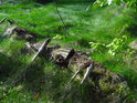 Pilou pořezaný opuštěný kmen buku se pomalu ztrácí v lesní trávě.