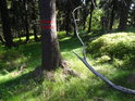Vnější hranice chráněného území, označená obvyklým způsobem červenou dvojitou čarou na stromu.