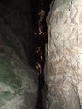 Průhled puklinou nahoru k slunečním paprskům u jeskyně Býčí skála.
