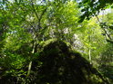 Obrostlý skalní ostroh nad Křtinským potokem nedaleko jeskyně Býčí skála.