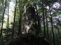 Štíhlý skalní ostroh uprostřed lesa.