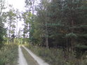 Jihovýchodní křižovatka je hraničním cípem přírodní památky Černá stráň.