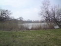 Pohled na Chropyňský rybník, zvaný spíše zámecký rybník od jihovýchodu.