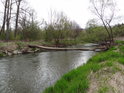 Řeka Morava v sousedství chráněného území Daliboř.

