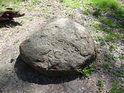 Matyldin bludný kámen najdeme na lesní křižovatce v chráněném území Dařenec.