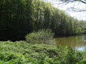 Pohled dolů na horní část rybníka Dolní Svrčov.