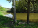 Rybník Prostřední Svrčov s cedulí rybářského revíru na osice a vnějším hraničním znakem chráněného území na olši.