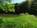 Zelenající se hráz rybníka Horní Svrčov.
