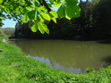 Hladina rybníka Horní Svrčov pod kaštanovými listy viděná.