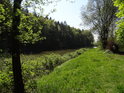 Zelenající se pravý břeh rybníka Horní Svrčov.