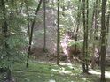Malý potůček v hlubokém lesním zářezu a výše položená pěšina.

