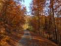 Romantická cesní cesta v podzimním hávu.