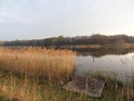 Františkův rybník na jižním břehu.