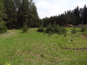 Mezilesní prostor s úložištěm klád u Frauenthalu.