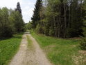 Lesní odbočka u Frauenthalu.