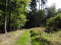 Lesní cesta v nejvyšších místech chráněného území v jeho severní části.