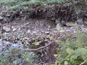 Erozivní břeh občasného vodního toku.