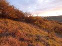 Barvy raného a ranního podzimu na Haškách.
