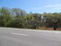 Pohled na severní okraj chráněného území přes silnici I/11.