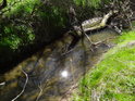 Jarní Slunce se odráží v hladině Heraltického potoka.