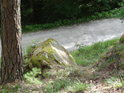 Borovice a kamen zpevňují jižní svah.