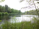 Rybník Velká Houkvice pohledem od jihovýchodu.