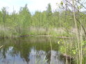 Východní cíp rybníka Velká Houkvice.