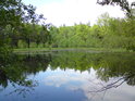 Rybník Malá Houkvice od jihu.