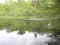Rybník Malá Houkvice na jihovýchodní straně.