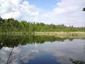 Hladina rybníka Velká Houkvice, vlevo vzadu dubina s památným dubem o obvodu kmene 890 cm.