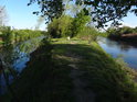 Srdce soutoku řeky Odry s řekou Olší (vlevo) pohledem proti proudu obou řek.