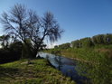 Hraniční patník na nejdolnějším toku řeky Olše těsně nad odevzdáním svých vod řece Odře.