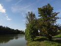 Heršpický rybník, čili Jalovák ve své romantické podobě.