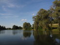 Heršpický rybník, čili Jalovák pohledem z jihu.