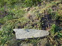 Osamělý plochý kámen jakoby patřil na vřesoviště na vrcholu Kalvárie.