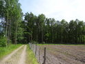 Lesní plot chrání lesní školku.